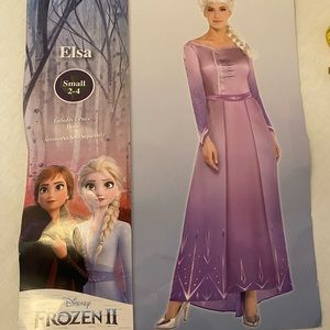 Costume: purple Frozen 2 Elsa dress size S
